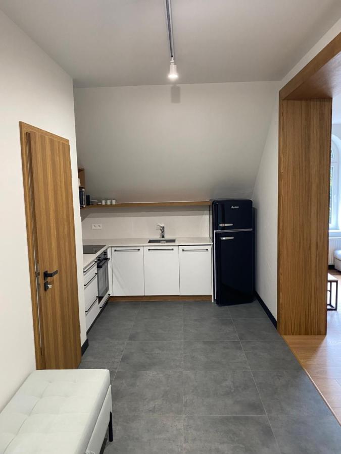 Apartamenty Przy Parku Szwedzkim شتشافنو-زدروي المظهر الخارجي الصورة