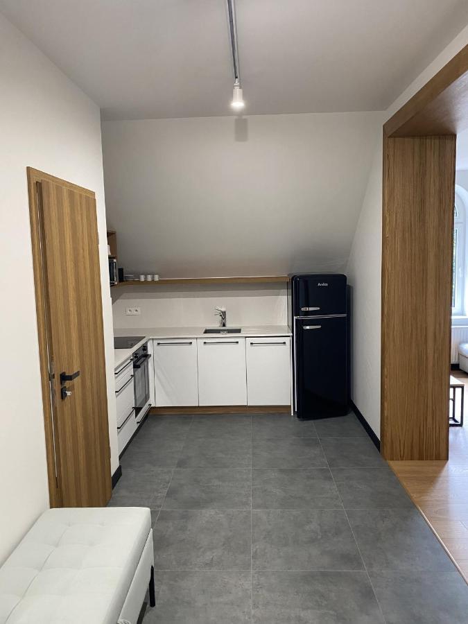Apartamenty Przy Parku Szwedzkim شتشافنو-زدروي المظهر الخارجي الصورة